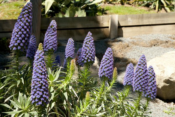 Quali sono i segreti per un'illuminazione efficace in un home office?